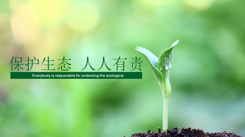 100准确大公开三肖