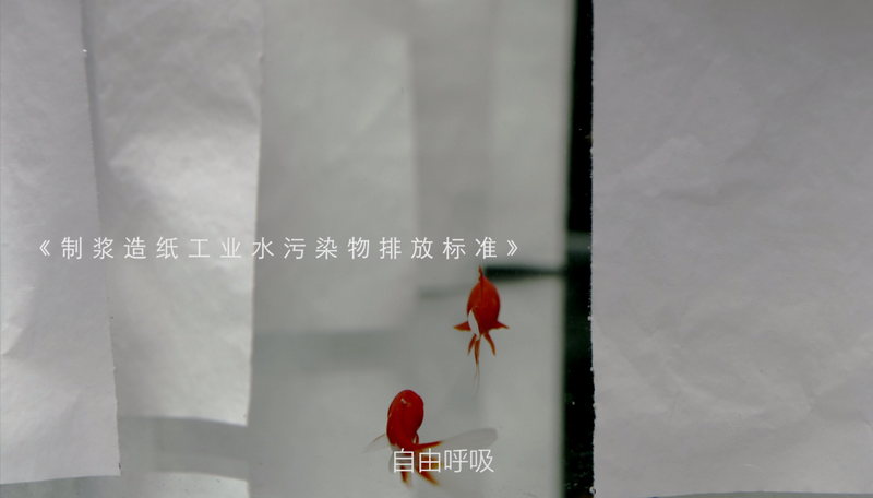 100准确大公开三肖